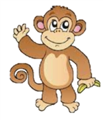 monkey